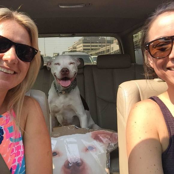 Meet your Posher, Emily - Picture 1 of 1